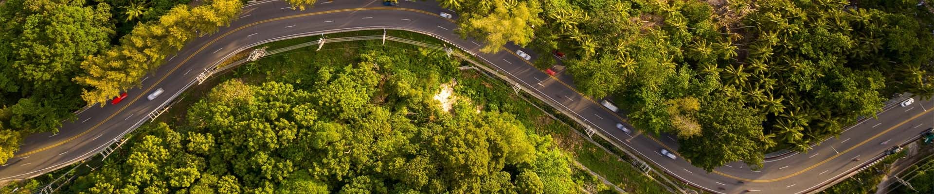 Guyanese Registration Requirements for Non-Resident Companies